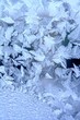 winter pattern