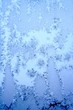 winter pattern