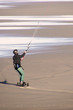 kitewing