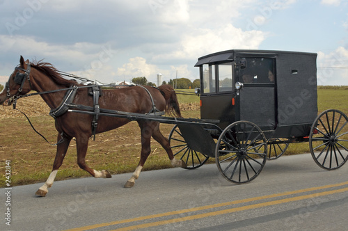 Photo: amish horse and buggy amish horse and buggy