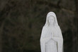 mary in prayer