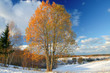 winter meet autumn winter meet autumn