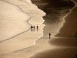 surfers on the beach