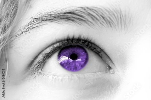Foto: oeil violet de femme , regard rêveur oeil violet de femme , regard rêveur