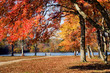 walk in the park walk in the park