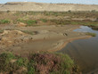 marécage du draa