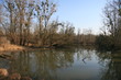 nebenrheinarm