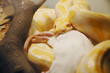 python