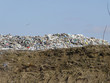 Photo: dumping ground dumping ground