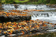 autumn waterfall in estonia