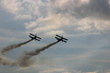 wing walking wing walking