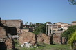 le palatino le palatino