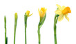 spring is coming