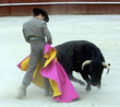 cd_toros-8