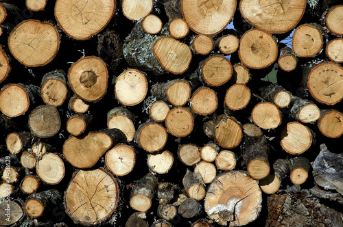 wood logs wood logs