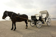 horse-car