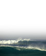 ocean freedom