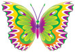 butterfly