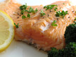 salmon dinner close-up