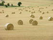 countryside collection