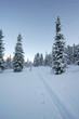 winter wonderland