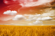 beautiful landscape in sunset beautiful landscape in sunset