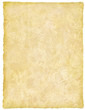 vellum / papyrus / parchment