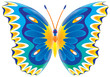 butterfly