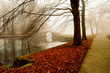 dreamy bridge