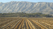 sainte victoire sainte victoire