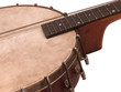 antique banjolin