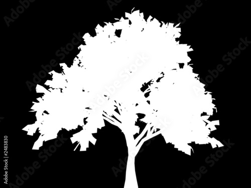 dia san valentin poemas. para dia de san valentin