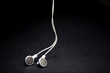 ear pods ear pods