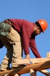 construction carpenter