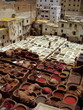Photo: vats vats