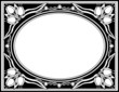 tulip frame white on black