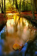 autumn lake