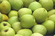 green apples at a parisian fruit market green apples at a parisian fruit market