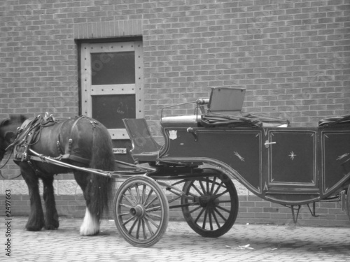Photo: horse & carriage horse & carriage