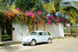 vw bug in front of a mexican casa