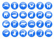blue icons with animals shapes