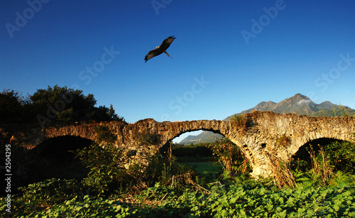 corse rapace sur aqueduc