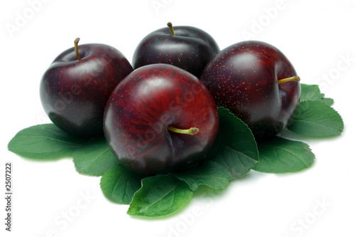 Photo: black plums black plums