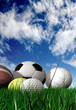 sports balls on the grass