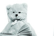 black and white presbyopic bear