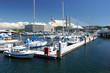 boats at the dock