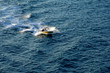 motor boat