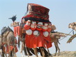 afrique afrique