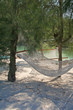 hammocks