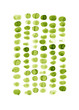green fingerprints